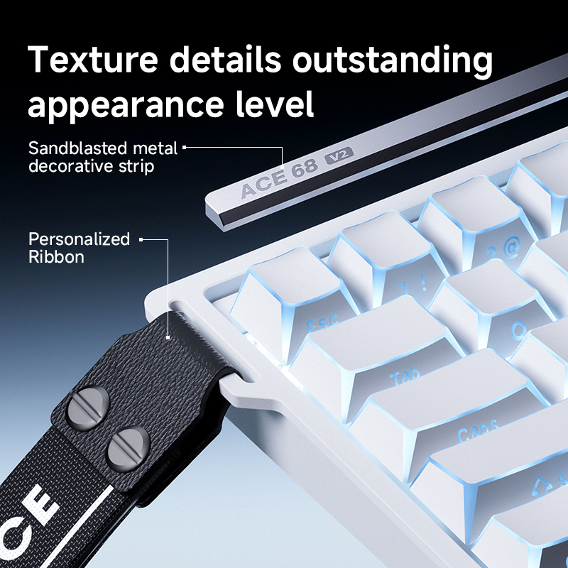 MCHOSE ACE68 V2 gaming keyboar - Gaming Keyboard Expensive のレビューと価格