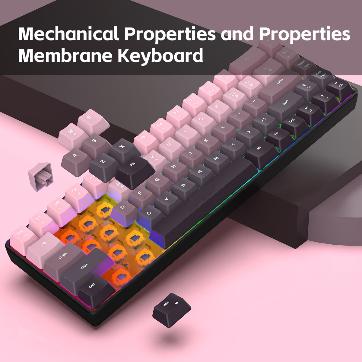 New Compact 68-Key Gradient-Co - Gaming Keyboard Ergonomic のレビューと価格