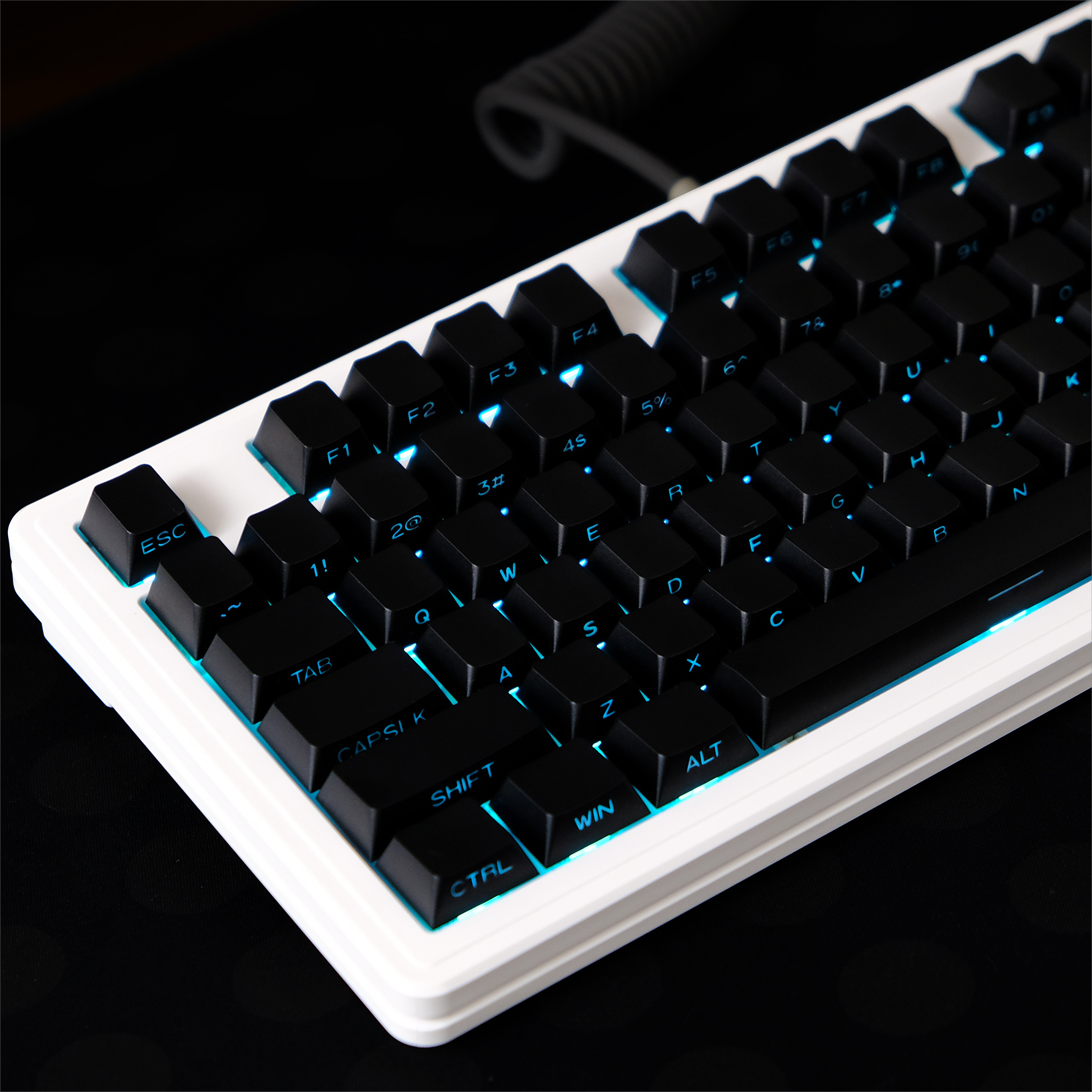 Black Side Print OEM Profile M - Keyboard Gaming Black のレビューと価格