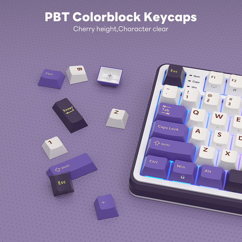 RK S98 ROYAL KLUDGE Wireless G - Gaming Keyboard Budget のレビューと価格