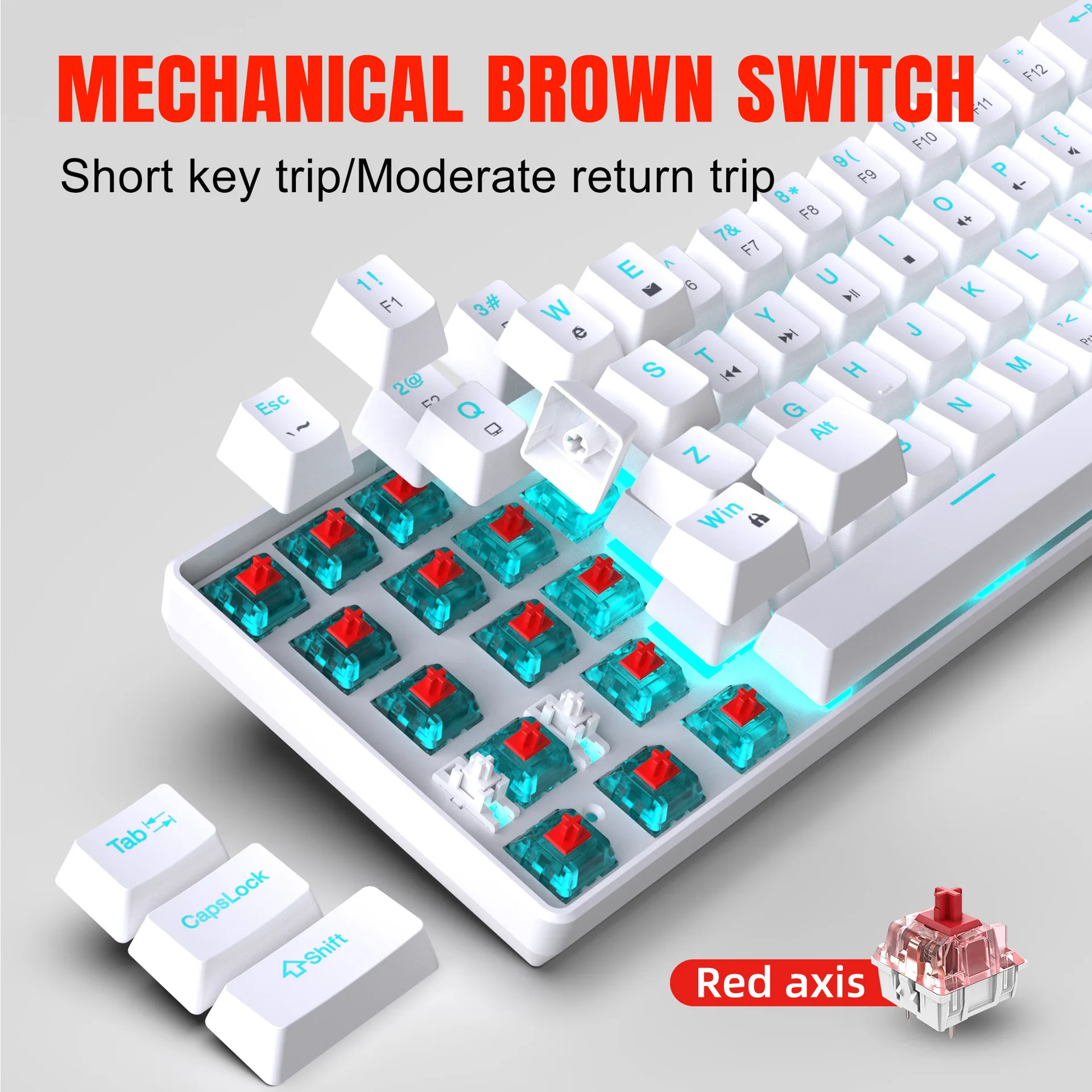 Mechanical keyboard gaming 60% - Gaming Keyboard Budget のレビューと価格